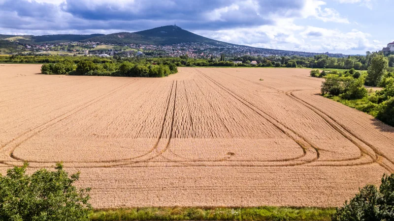 Investičný pozemok s výmerou 20 968 m² v prestížnej lokalite Nitra – Zobor s výnimočným developérskym potenciálom