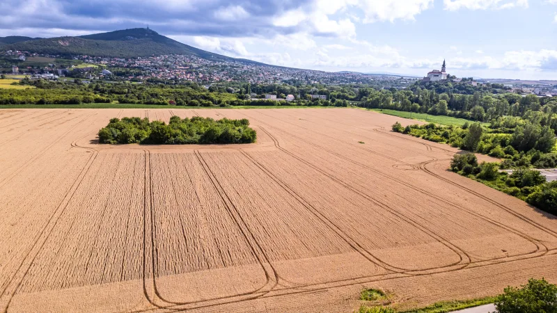 Investičný pozemok s výmerou 20 968 m² v prestížnej lokalite Nitra – Zobor s výnimočným developérskym potenciálom