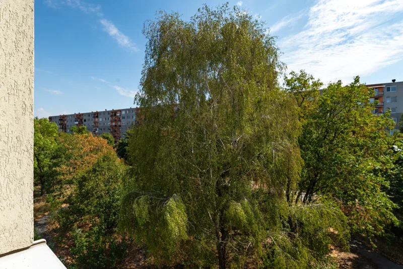 Galéria 25