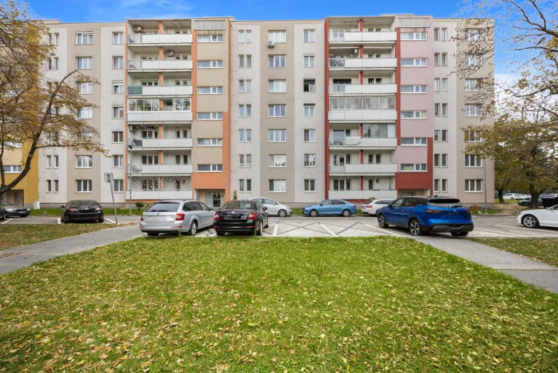 Galéria 6